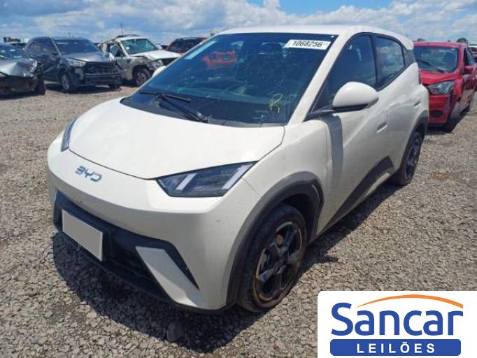 BYD DOLPHIN MINI 25/26